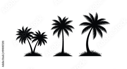 Silhouettes of Palm Trees on White Background 