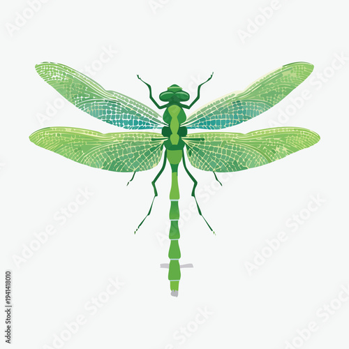 dragonfly on white background