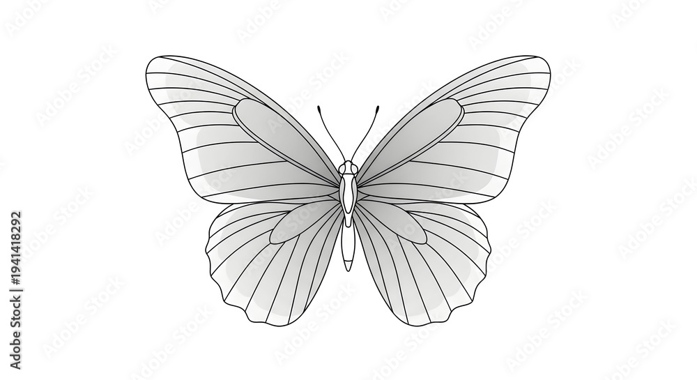 Fototapeta premium Butterfly isolated on white background flying with colorful wings