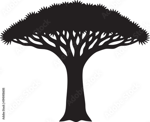 Dragon Blood Tree Umbrella Shaped Canopy and Thick Trunk Silhouette