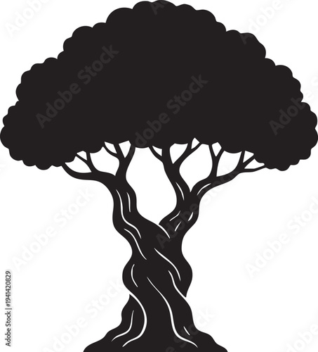 Mediterranean Olive Tree Gnarled Trunk and Dense Crown Silhouettes