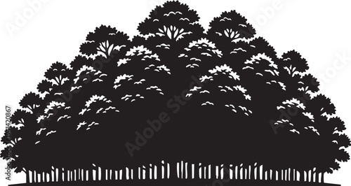 Misty Woodland Edge Dense Deciduous Trees Overlapping Canopies Silhouette
