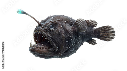 Abyssal anglerfish phantom glides from oceanic depths, its ethereal bioluminescent lure a beacon in the perpetual night, a formidable predator