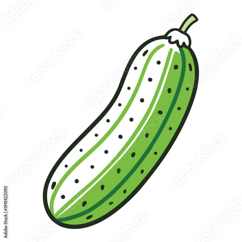 gherkin cucumber line art vector