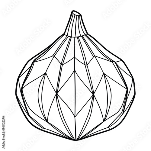 gem squash line art vector 