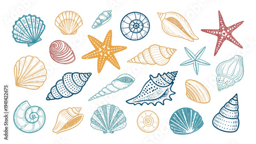 Colorful ocean shell and starfish doodle icons vector collection on white background for design