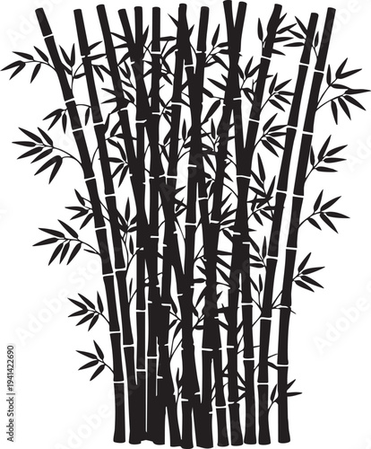 Bamboo Thicket Cluster Tall Segmented Stalks and Sharp Leaves Silhouette
