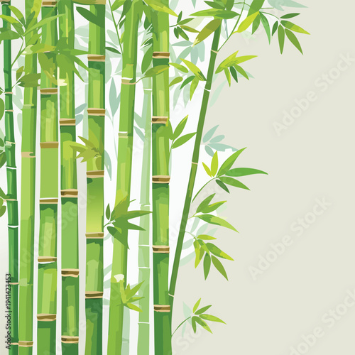 bamboo background vector illustration