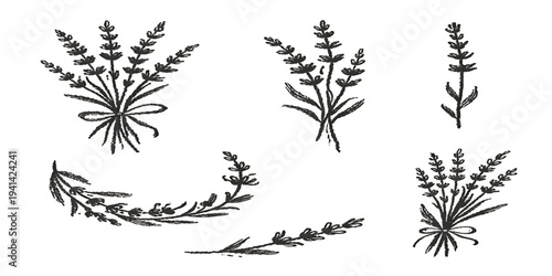 Laurel wreath vector set with leaves and branches design