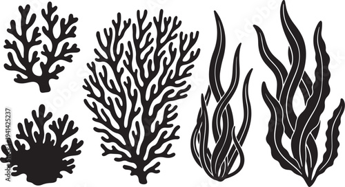 Black Coral and Seaweed Silhouettes on White Background Illustration