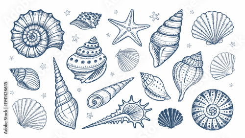 Marine shell doodle vector bundle featuring decora style seashells and starfish on white background with blue lines