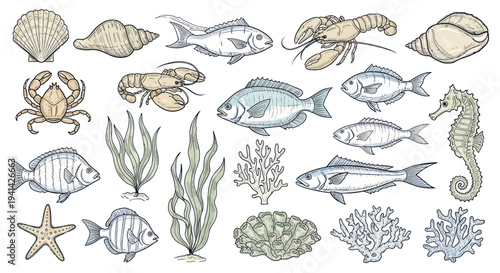 Detailed Hand-Drawn Collection of Marine Life and Underwater Flora.