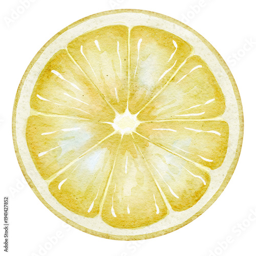 Bild auf Leinwand Watercolor illustration of Lemon Slice with detailed pulp texture and translucent flesh