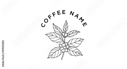 Minimalist coffee plant illustration with text for branding.