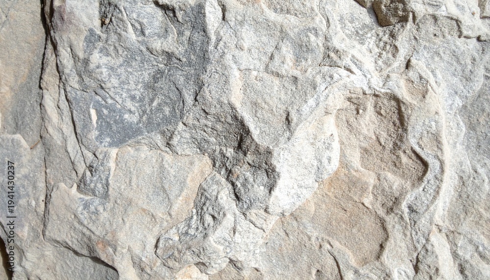 Obraz premium Stone texture with subtle leaf pattern creating natural botanical abstract background.