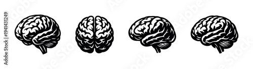 Vector illustration of human brain silhouette set in black and white