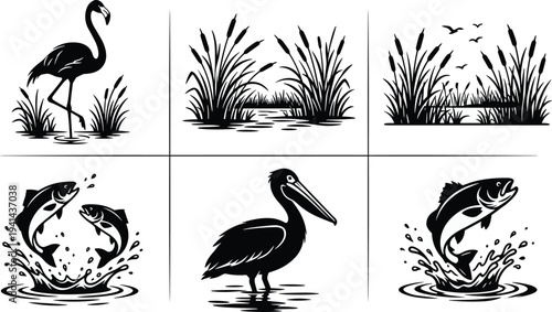 Flat vector illustration of wetland ecosystem scenes, flamingo, pelican, fish, marsh grasses, aquatic biodiversity artwork, nature habitat design