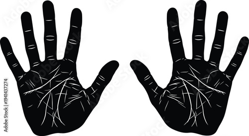 Flat vector illustration of human hands, palm lines drawing, biometric silhouette artwork, anatomy design, palmistry concept, gesture symbol