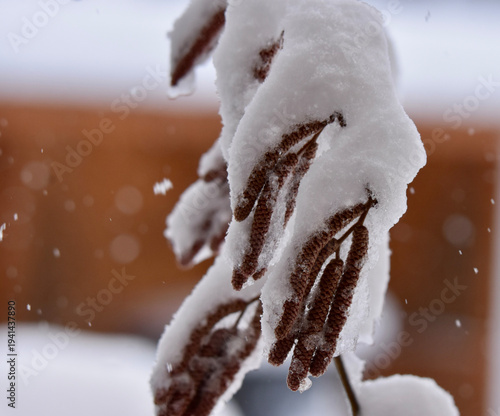 Schwerer Schnee 5