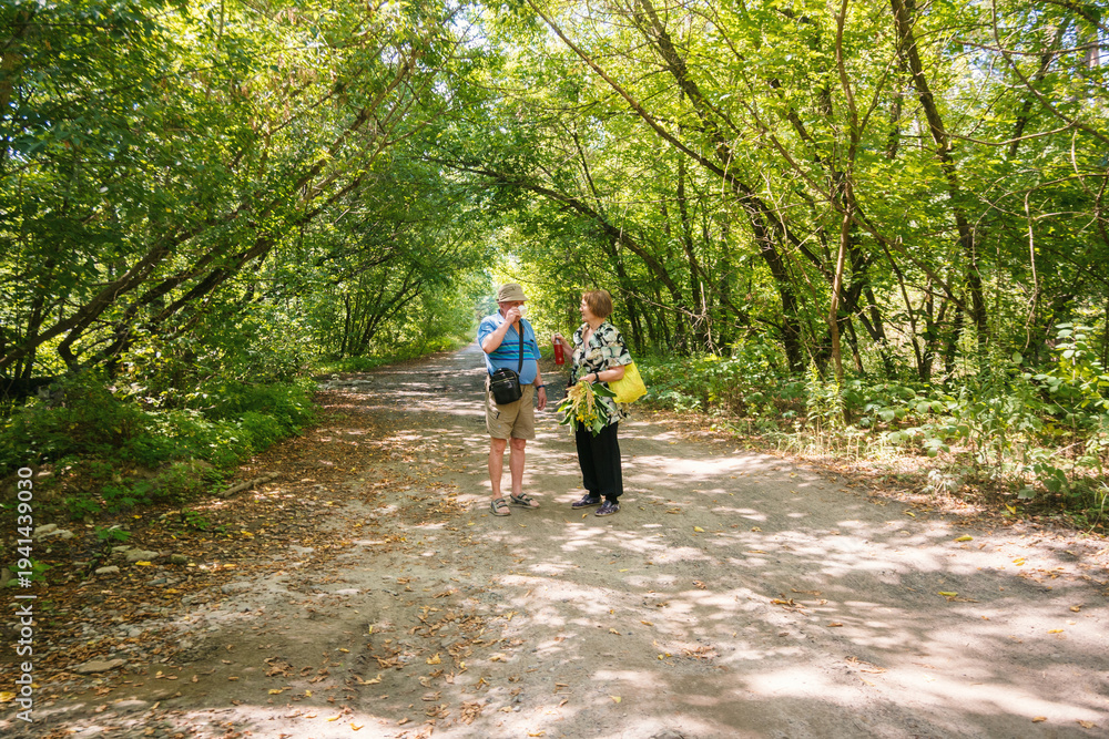 Fototapeta premium Senior Couple Enjoying a Walk and Conversation on a Sunlit Green Forest Path
