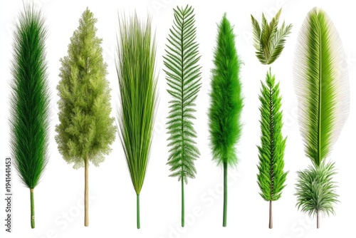 Set of Various Green Plant Branches on White Background