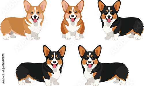 Corgi dog vector illustration collection, cute Welsh corgi puppy characters, different coat colors, cartoon pet set isolated on white