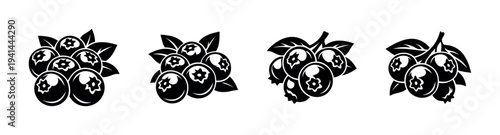 Vector illustration of blueberry berries and leaves in black and white silhouette style