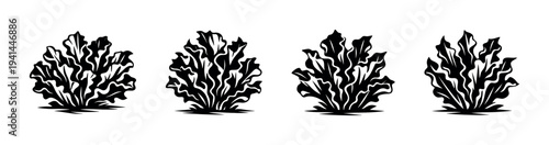 Botanical elements black and white silhouette illustration of leafy plants set of four