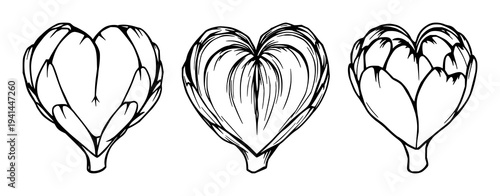 Artichokes set with black line art of a single halved artichoke heart featuring artichoke leaf, stem, tender heart with botanical and vegetable