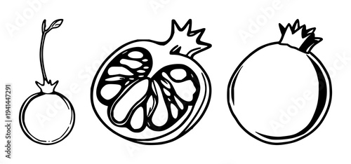 Pomegranate seed set with black line art and bright glisten on white background featuring fruit, seed, botanical with color, detail