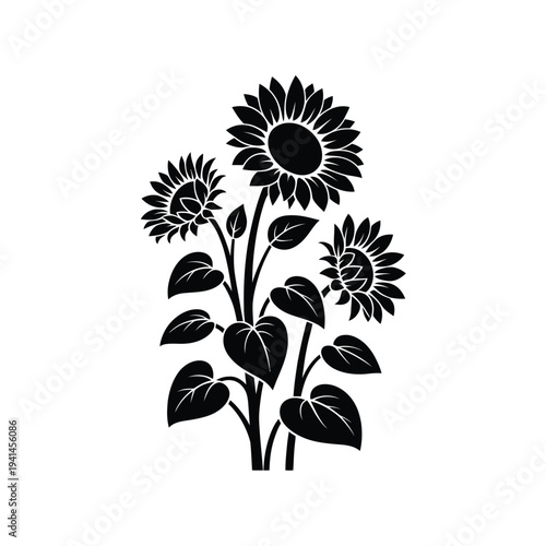 A black and white illustration depicting several blooming sunflower heads and stems