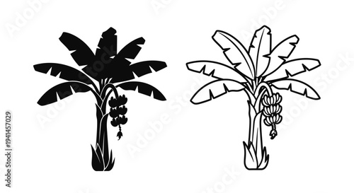 Two banana trees in black and white one solid one outlined