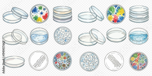 Petri dishes with various cultures and laboratory experiments, a set of scientific illustrations.