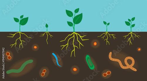 Various microorganisms in garden soil. Ground cutaway with bacteria and the root system of plants. Important microbes living in soil. Organic vegetable concept.
