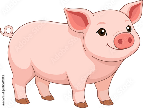 Pig illustration