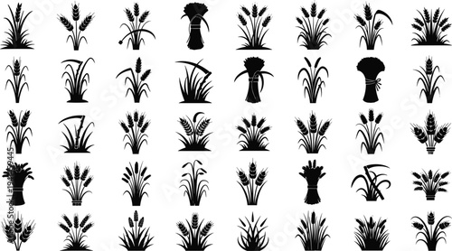 Black silhouettes of various wheat and grass plants