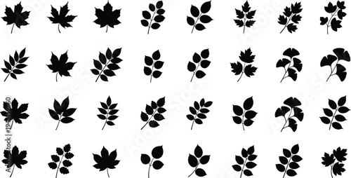 Collection of black leaf silhouettes on white background