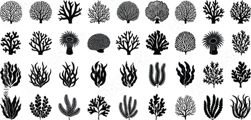 Collection of diverse black seaweed silhouettes