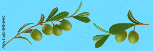 Two green olive branches with ripe fruits in 3D vector style isolated on bright blue background. Detailed botanical illustration for organic cosmetics, agriculture, or Mediterranean travel themes.