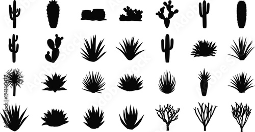 Collection of various cactus and succulent silhouettes on white background