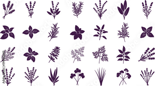 Collection of various herbs and plants in purple silhouette on white background