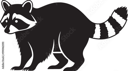 Cute black and white raccoon cartoon illustration isolated on white background looking