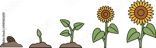 Outdoor camping vector illustration with kerosene lantern pine cones bunting and into the wild text for adventure nature travel