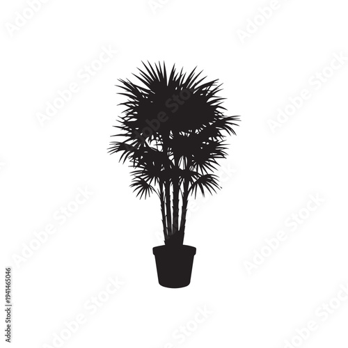 Black silhouette of a potted palm tree vector