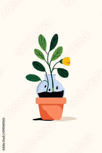 Succulent in Terracotta with Watering Globe