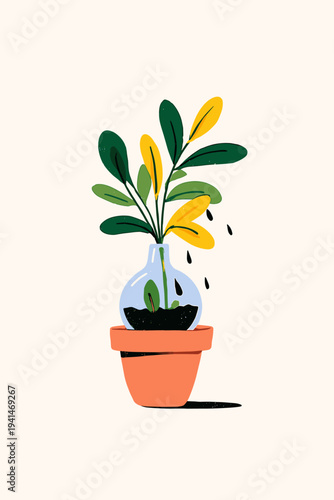 Succulent in Terracotta with Watering Globe