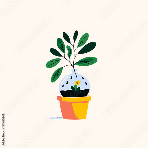 Succulent in Terracotta with Watering Globe