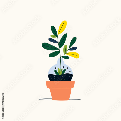 Succulent in Terracotta with Watering Globe