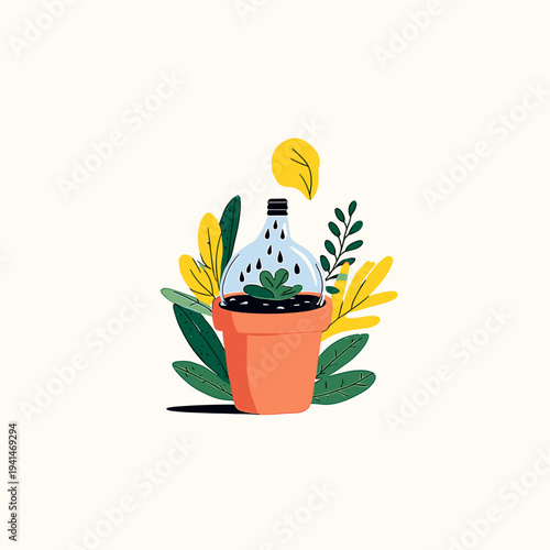 Succulent in Terracotta with Watering Globe