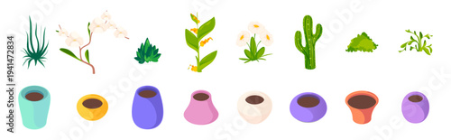 Plant pots filled with soil and flowers. Vector isolated vegetation set with flowers and leaves. Planting process, growth stages and gardening preparation. Cultivation and nature cycle